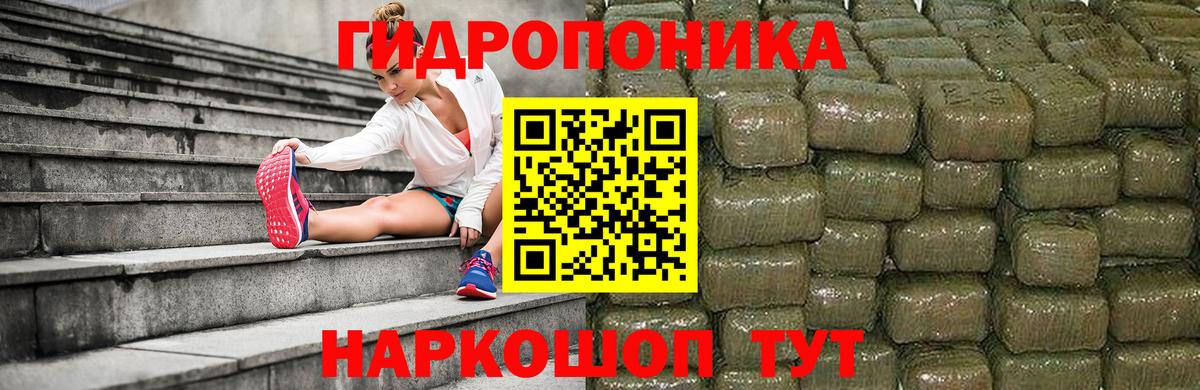Котлас  Каннабис марихуана  Вход с VPN  МАРИХУАНА AK-47  Каннабис семена 